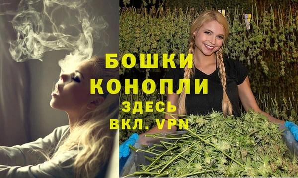 ПСИЛОЦИБИНОВЫЕ ГРИБЫ Михайловка